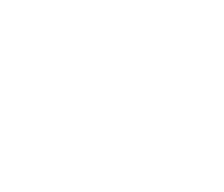 NikPage